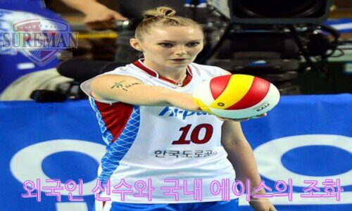 프로배구 V리그