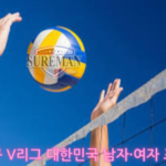 프로배구 V리그