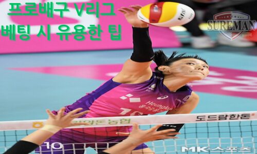 프로배구 V리그