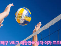 프로배구 V리그 분석 가이드