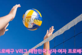 프로배구 V리그 분석 가이드