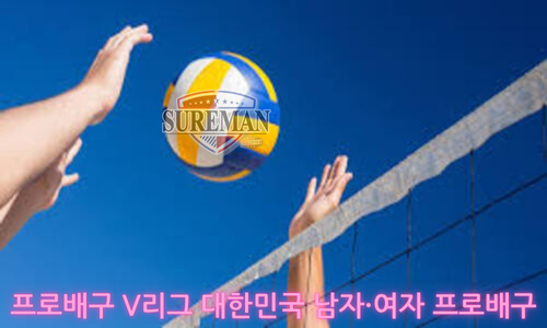 프로배구 V리그