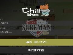 칠벳 신규 사설사이트 이름이 뜻하는 게 무엇인지 알기 쉽게 설명 해달라 질문 중