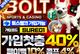 놀이터계의 강력 전기 충격 스포츠 토토 메이저 사이트 볼트 입점 완료!!