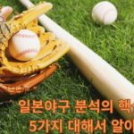 일본야구