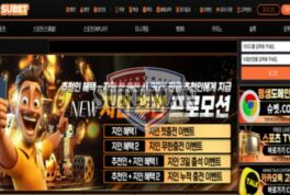 슈벳 신규 사설사이트 놀이터 이름이 무엇을 의미하는 건지 궁금해서 문의 중