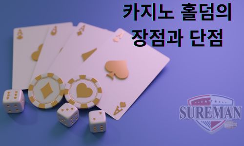 카지노 홀덤