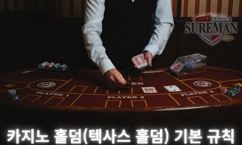 카지노 홀덤