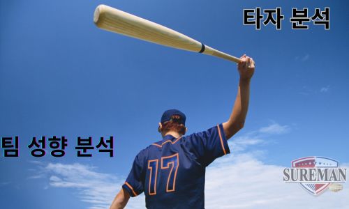 일본야구 분석