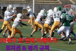 미식축구 한 번에 이해하기: 포지션 & 경기 규칙