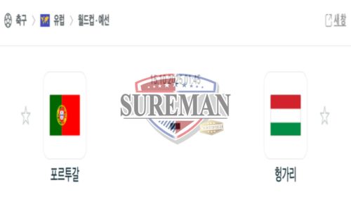 월드컵