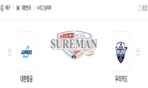 프로배구