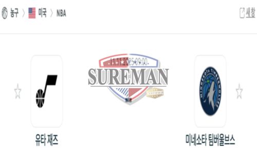 미프로농구