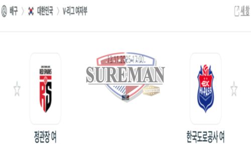 프로배구