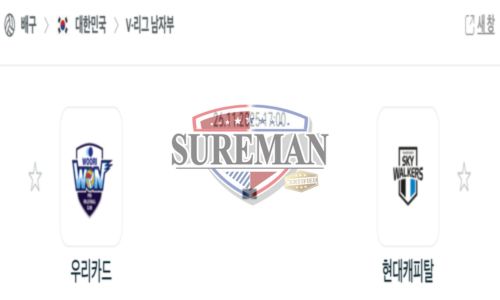 프로배구