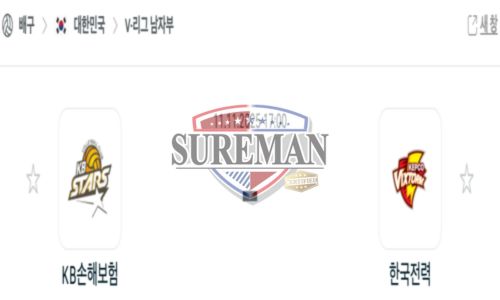 프로배구