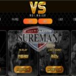 브이에스