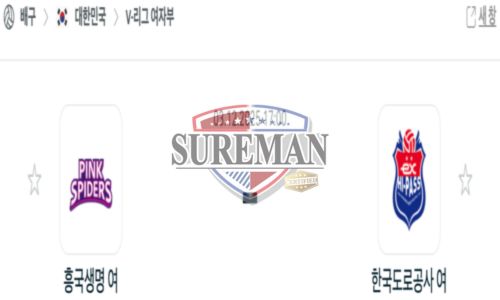 프로배구