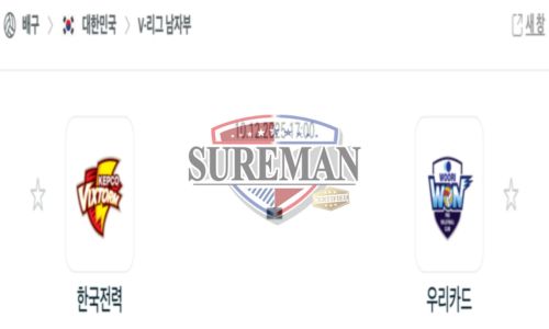 프로배구