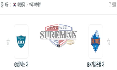 프로배구