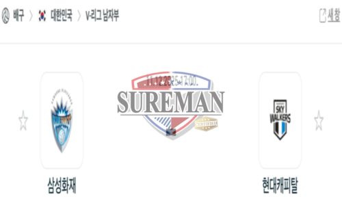 프로배구