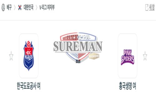 프로배구