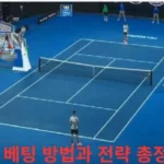 테니스